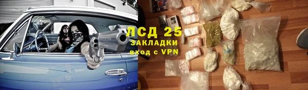 индика Балахна