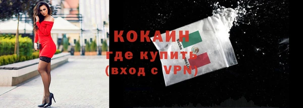 индика Балахна
