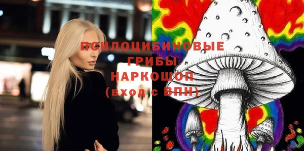 индика Балахна