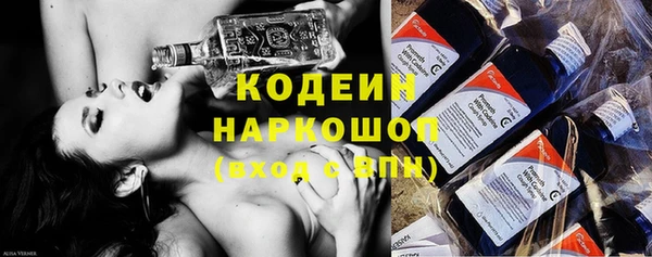индика Балахна