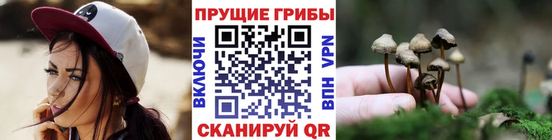 Галлюциногенные грибы MAGIC MUSHROOMS  Вязьма 